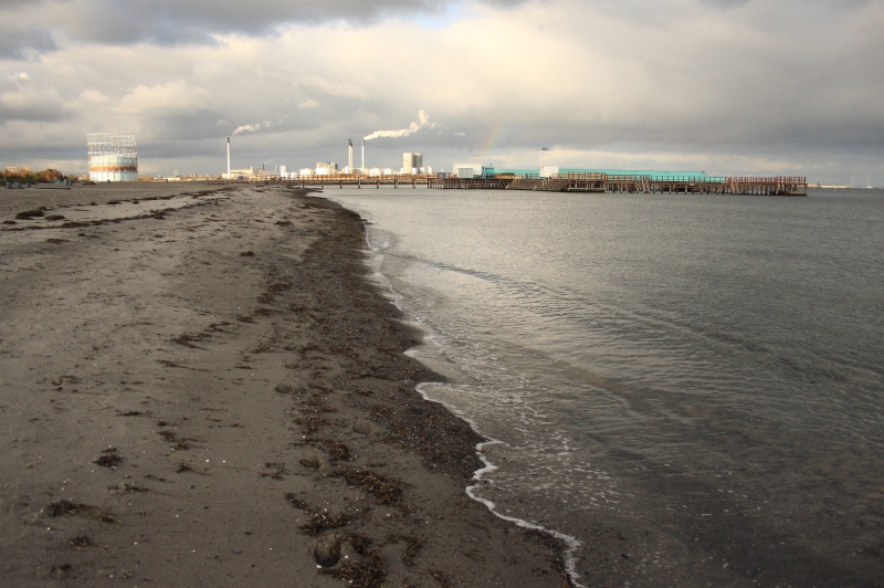 gal/Copenhagen/Amager_Strand/Amager_Strand_Copenhagen_Beach13.jpg