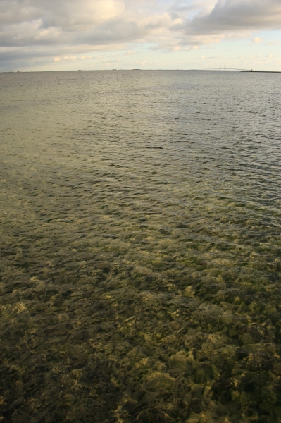 gal/Copenhagen/Amager_Strand/Amager_Strand_Copenhagen_Beach35.jpg