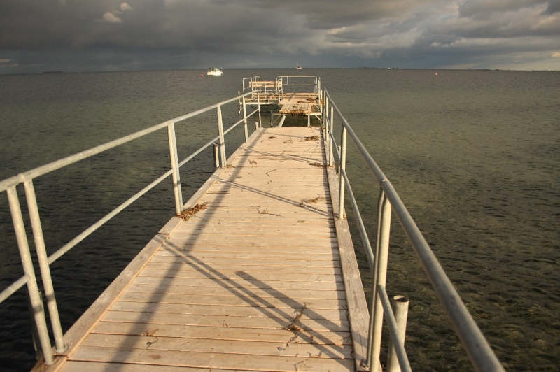gal/Copenhagen/Amager_Strand/Amager_Strand_Copenhagen_Beach37.jpg
