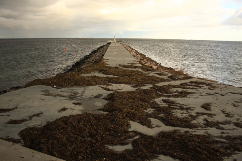 gal/Copenhagen/Amager_Strand/Amager_Strand_Copenhagen_Beach47.jpg
