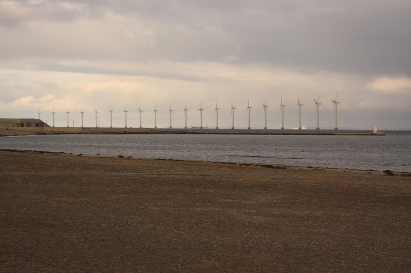 gal/Copenhagen/Amager_Strand/Amager_Strand_Copenhagen_Beach67.jpg