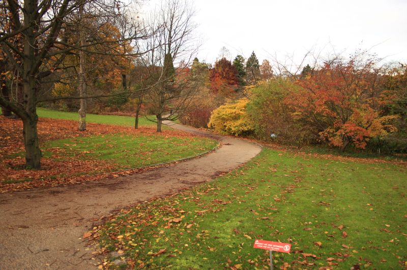 gal/Copenhagen/Botanisk_Have/Botanisk_Have_Copenhagen01.jpg