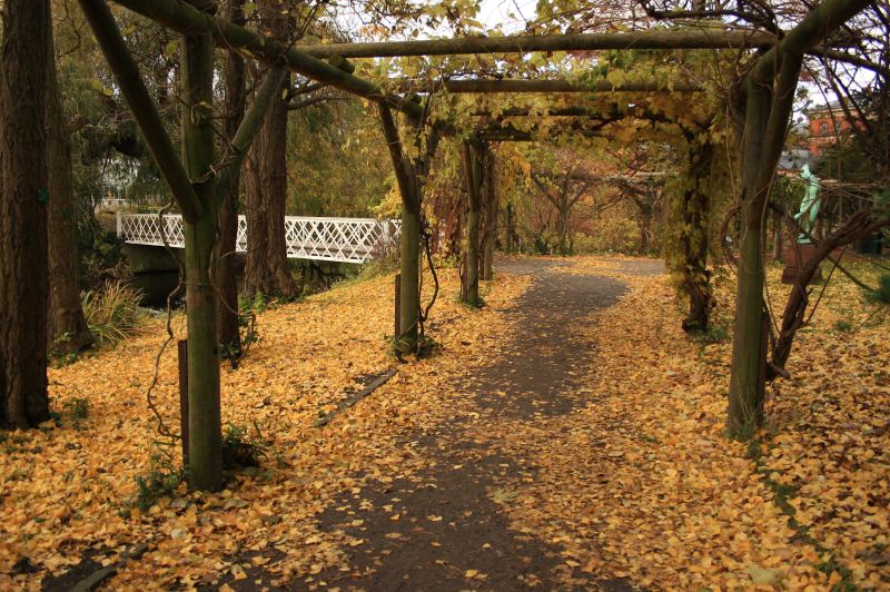 gal/Copenhagen/Botanisk_Have/Botanisk_Have_Copenhagen12.jpg