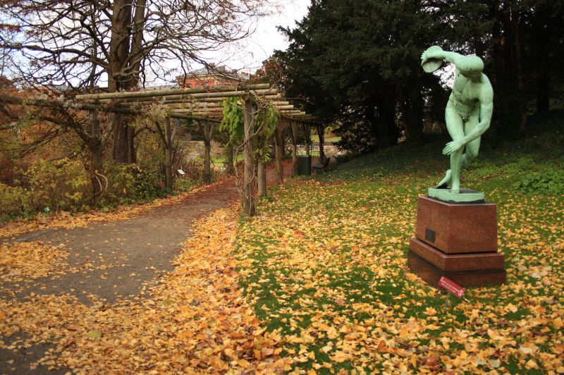 gal/Copenhagen/Botanisk_Have/Botanisk_Have_Copenhagen13.jpg
