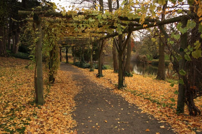 gal/Copenhagen/Botanisk_Have/Botanisk_Have_Copenhagen17.jpg