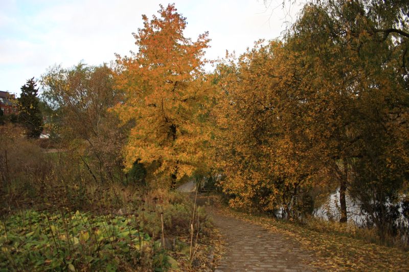 gal/Copenhagen/Botanisk_Have/Botanisk_Have_Copenhagen20.jpg