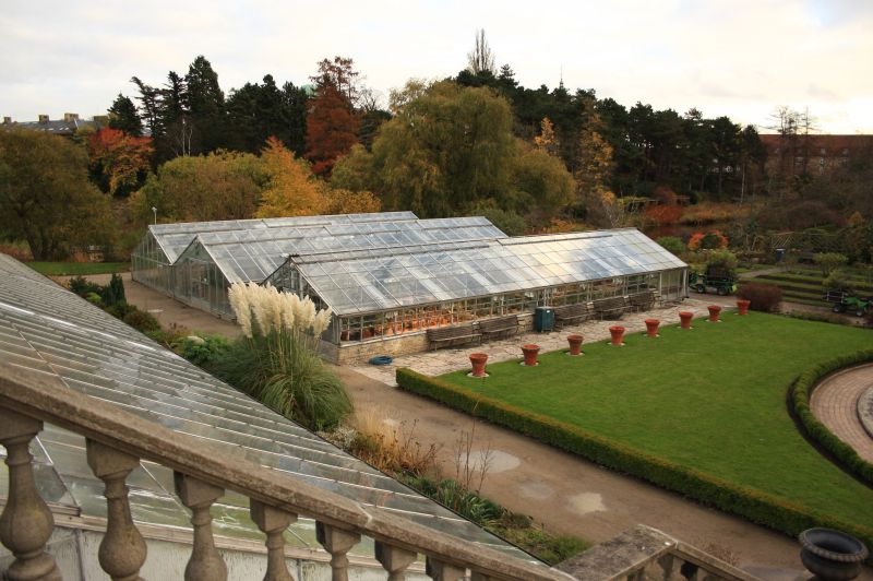 gal/Copenhagen/Botanisk_Have/Botanisk_Have_Copenhagen24.jpg