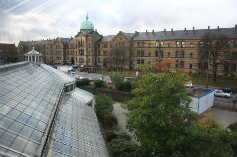 gal/Copenhagen/Botanisk_Have/Botanisk_Have_Copenhagen27.jpg