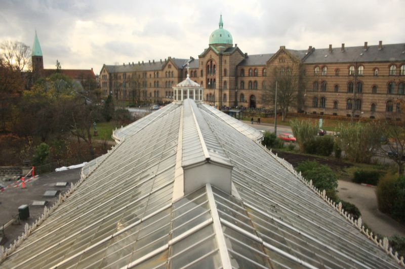 gal/Copenhagen/Botanisk_Have/Botanisk_Have_Copenhagen28.jpg