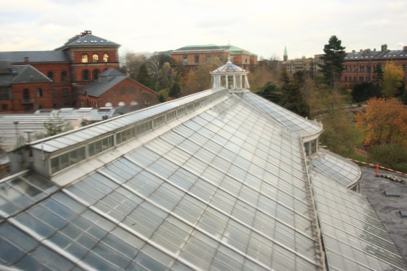 gal/Copenhagen/Botanisk_Have/Botanisk_Have_Copenhagen31.jpg