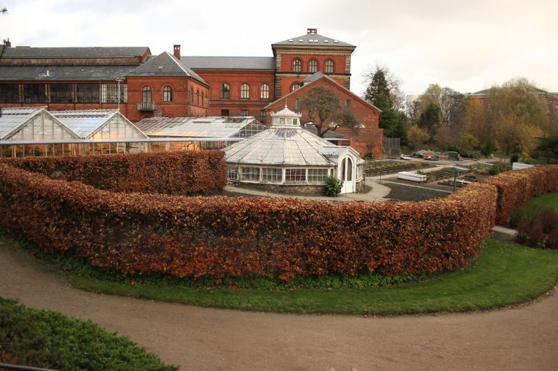 gal/Copenhagen/Botanisk_Have/Botanisk_Have_Copenhagen35.jpg