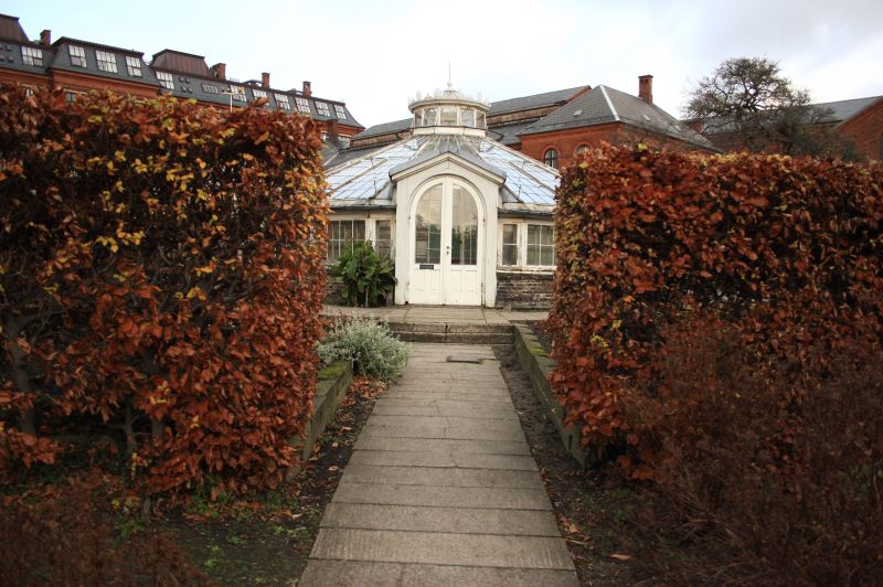 gal/Copenhagen/Botanisk_Have/Botanisk_Have_Copenhagen37.jpg