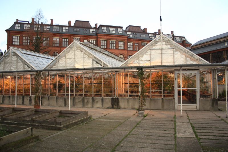 gal/Copenhagen/Botanisk_Have/Botanisk_Have_Copenhagen39.jpg