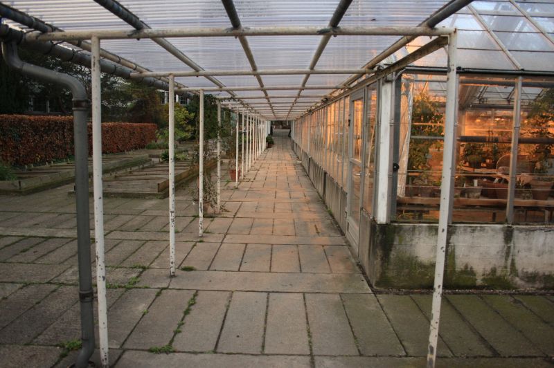 gal/Copenhagen/Botanisk_Have/Botanisk_Have_Copenhagen42.jpg