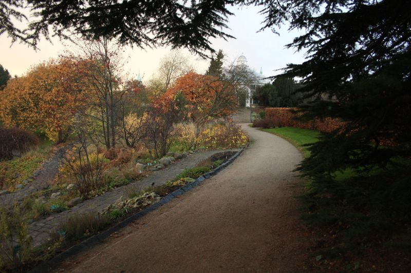 gal/Copenhagen/Botanisk_Have/Botanisk_Have_Copenhagen46.jpg