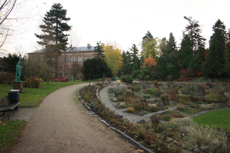gal/Copenhagen/Botanisk_Have/Botanisk_Have_Copenhagen47.jpg