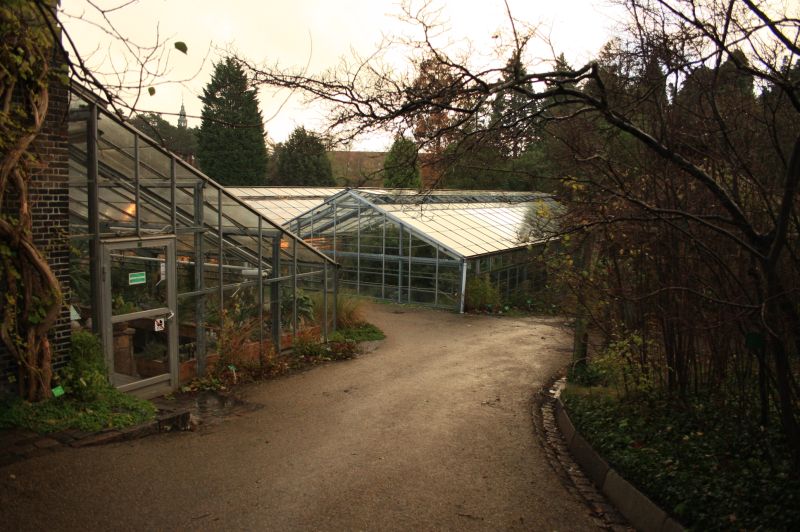 gal/Copenhagen/Botanisk_Have/Botanisk_Have_Copenhagen58.jpg