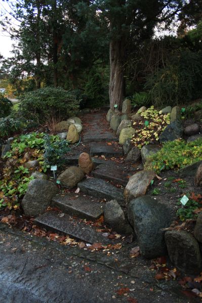 gal/Copenhagen/Botanisk_Have/Botanisk_Have_Copenhagen64.jpg