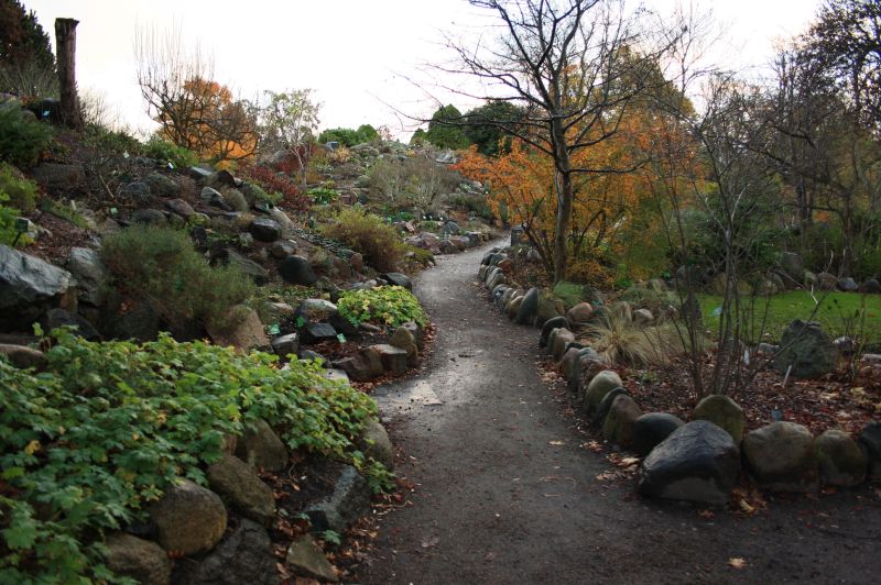 gal/Copenhagen/Botanisk_Have/Botanisk_Have_Copenhagen65.jpg