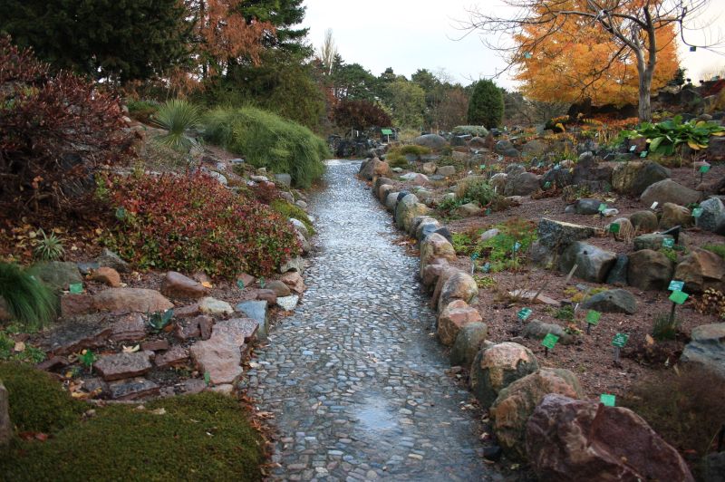 gal/Copenhagen/Botanisk_Have/Botanisk_Have_Copenhagen66.jpg