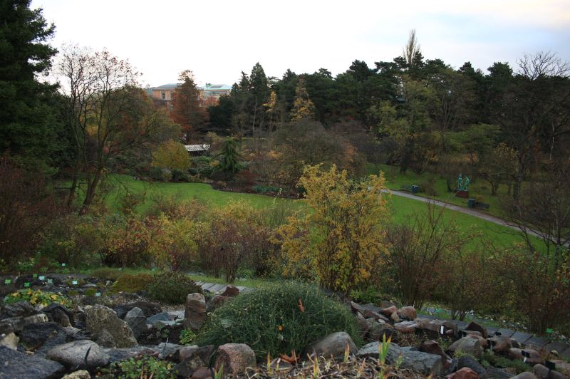 gal/Copenhagen/Botanisk_Have/Botanisk_Have_Copenhagen71.jpg