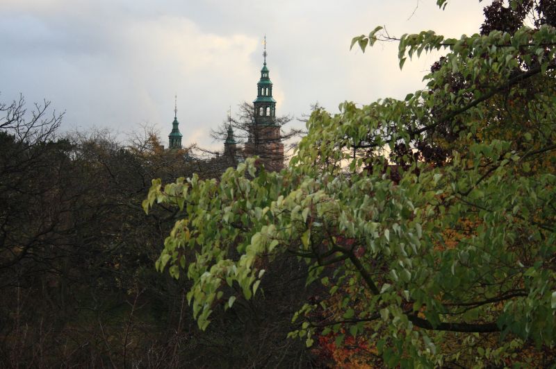 gal/Copenhagen/Botanisk_Have/Botanisk_Have_Copenhagen73.jpg
