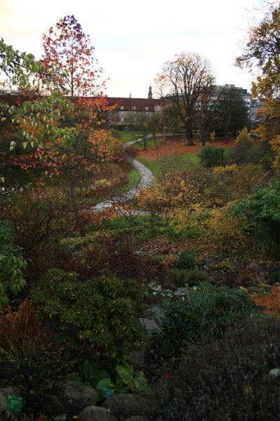 gal/Copenhagen/Botanisk_Have/Botanisk_Have_Copenhagen74.jpg