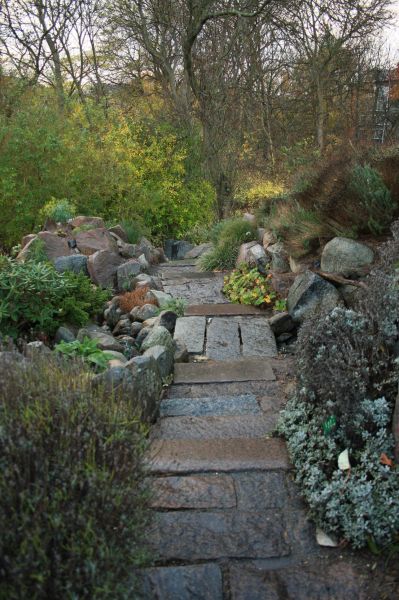 gal/Copenhagen/Botanisk_Have/Botanisk_Have_Copenhagen77.jpg