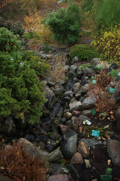 gal/Copenhagen/Botanisk_Have/Botanisk_Have_Copenhagen78.jpg