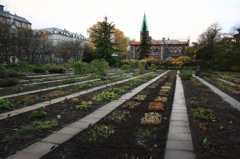 gal/Copenhagen/Botanisk_Have/Botanisk_Have_Copenhagen80.jpg