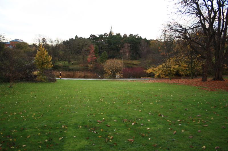 gal/Copenhagen/Botanisk_Have/Botanisk_Have_Copenhagen81.jpg