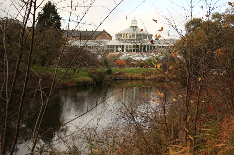 gal/Copenhagen/Botanisk_Have/Palm_House/Botanisk_Have_Copenhagen_Palm_House003.jpg