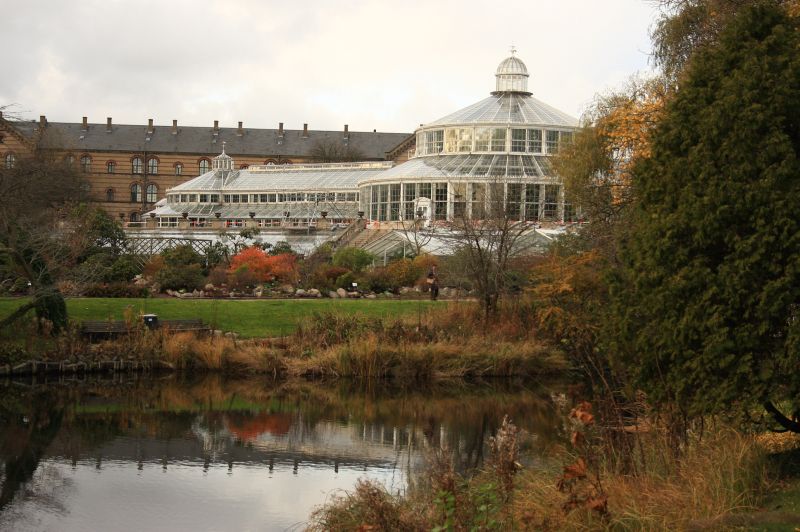 gal/Copenhagen/Botanisk_Have/Palm_House/Botanisk_Have_Copenhagen_Palm_House004.jpg