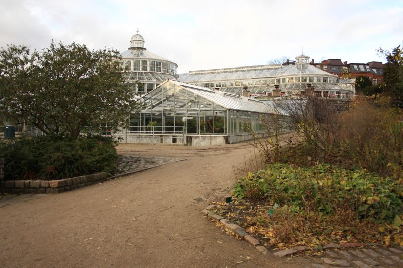 gal/Copenhagen/Botanisk_Have/Palm_House/Botanisk_Have_Copenhagen_Palm_House005.jpg