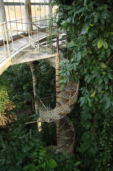 gal/Copenhagen/Botanisk_Have/Palm_House/Botanisk_Have_Copenhagen_Palm_House030.jpg