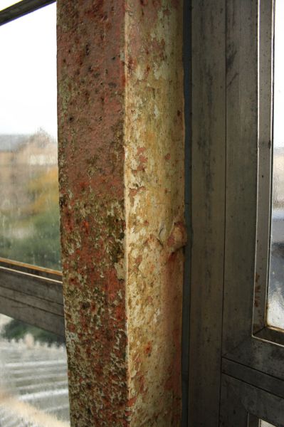 gal/Copenhagen/Botanisk_Have/Palm_House/Botanisk_Have_Copenhagen_Palm_House052.jpg