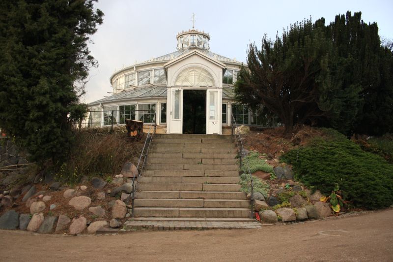 gal/Copenhagen/Botanisk_Have/Palm_House/Botanisk_Have_Copenhagen_Palm_House103.jpg