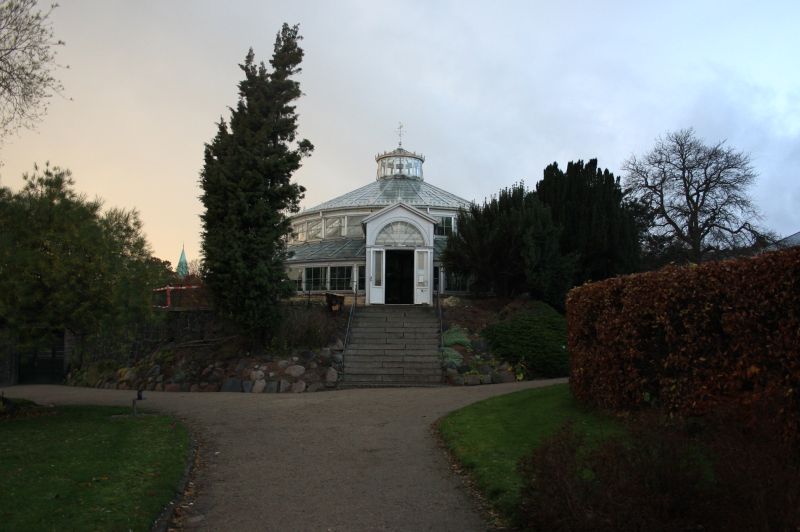 gal/Copenhagen/Botanisk_Have/Palm_House/Botanisk_Have_Copenhagen_Palm_House104.jpg