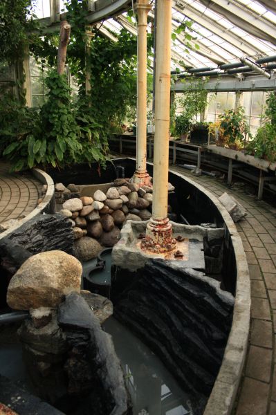 gal/Copenhagen/Botanisk_Have/Palm_House/Botanisk_Have_Copenhagen_Palm_House132.jpg