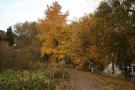 gal/Copenhagen/Botanisk_Have/_thb_Botanisk_Have_Copenhagen20.jpg
