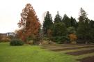 gal/Copenhagen/Botanisk_Have/_thb_Botanisk_Have_Copenhagen22.jpg