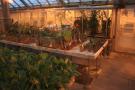 gal/Copenhagen/Botanisk_Have/_thb_Botanisk_Have_Copenhagen54.jpg