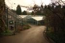 gal/Copenhagen/Botanisk_Have/_thb_Botanisk_Have_Copenhagen58.jpg