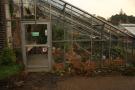 gal/Copenhagen/Botanisk_Have/_thb_Botanisk_Have_Copenhagen59.jpg