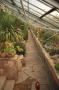 gal/Copenhagen/Botanisk_Have/_thb_Botanisk_Have_Copenhagen60.jpg