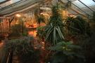gal/Copenhagen/Botanisk_Have/_thb_Botanisk_Have_Copenhagen63.jpg