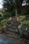 gal/Copenhagen/Botanisk_Have/_thb_Botanisk_Have_Copenhagen64.jpg