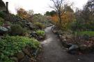 gal/Copenhagen/Botanisk_Have/_thb_Botanisk_Have_Copenhagen65.jpg