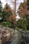 gal/Copenhagen/Botanisk_Have/_thb_Botanisk_Have_Copenhagen68.jpg