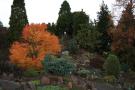 gal/Copenhagen/Botanisk_Have/_thb_Botanisk_Have_Copenhagen70.jpg